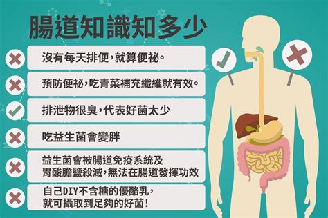 腸胃問題